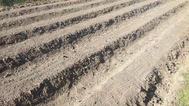 Как сделать грядки для клубники своими руками Бугры под клубнику вручную смотреть онлайн