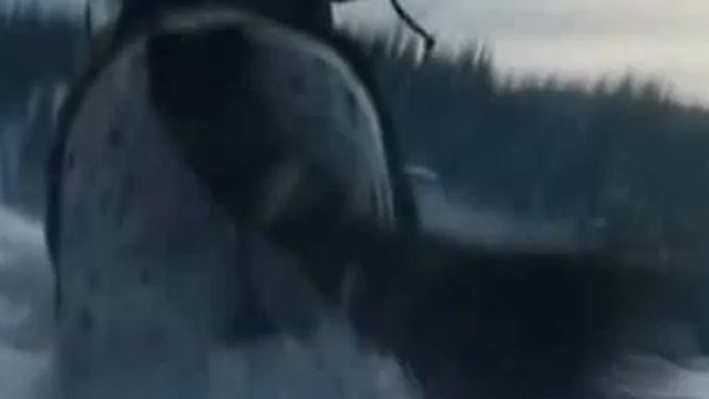 Легендарный прыжок Leodanro Dicaprio смотреть онлайн