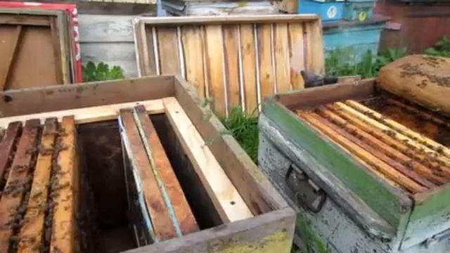 СУПЕР 100% КАК ПРОСТО СДЕЛАТЬ ОТВОДОК НА МАТОЧНИК И РЕЗУЛЬТАТ ПРИЁМА. смотреть онлайн