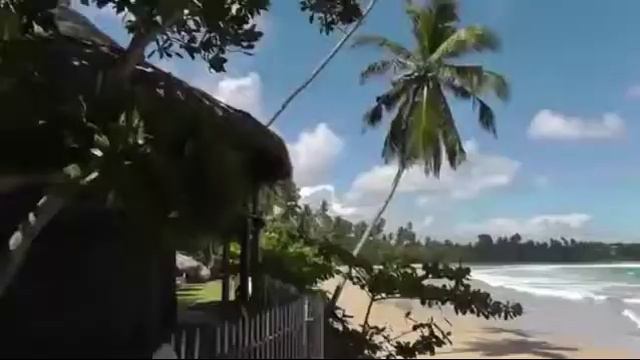 Отель Шри Ланки Dickwella Village Resort смотреть онлайн