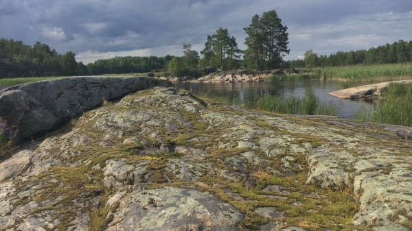 Обзор новых маршрутов для квадроциклов в приложении #quadmaps