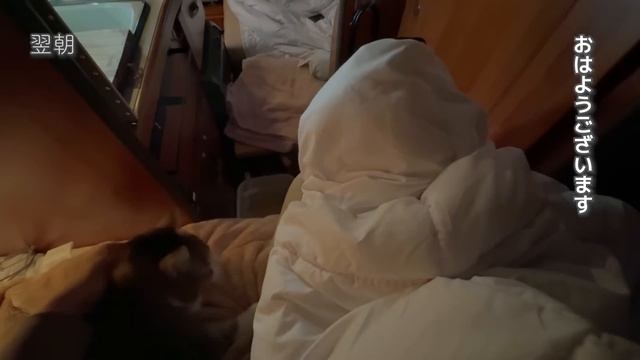 震度7地震、3m津波警報【富山避難車中泊生活】コンビニ、スーパー食糧不足、地震直後パニック状態からリアルな映像記録 | 2024年1月1日能登半島地震 смотреть онлайн