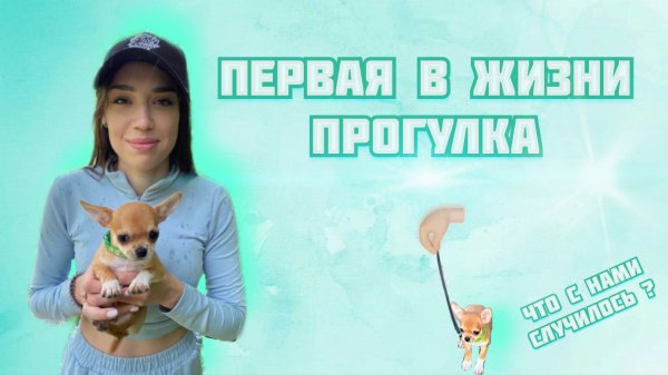 Первая прогулка моей собаки ❤️