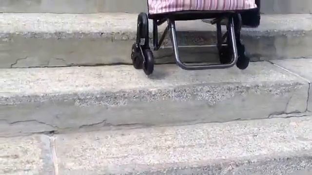 Сумка тележка хозяйственная Мурашка смотреть онлайн