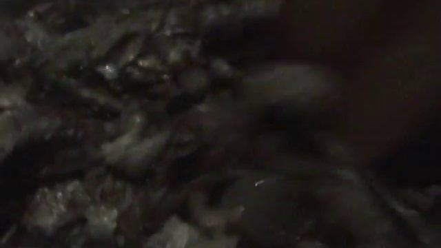 Виртуозное Играть на Инструменте