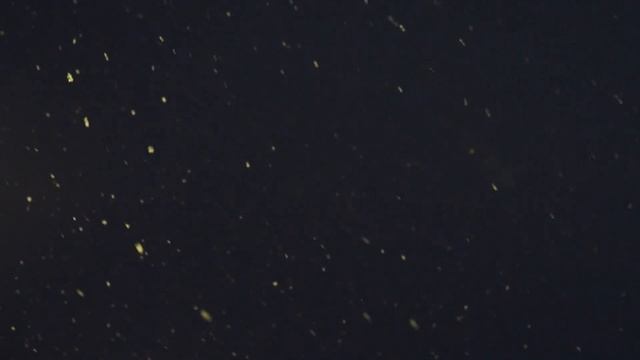 Пианино готовое покорить. Музыка для ралабления. Piano Ready To Conquer. Music For Relaxation