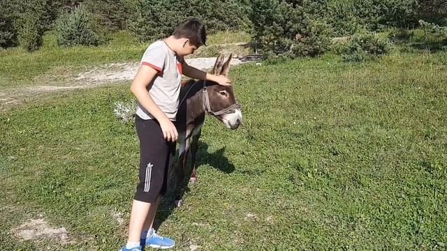 В ГОРАХ ДАГЕСТАНА?/ ГОРЫ⛰/ОСЛИК?/МОМЕНТЫ ИЗ ЖИЗНИ? смотреть онлайн
