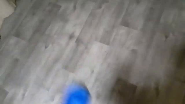 Ипичная битва Баку и Вампира что с делал баку пожиратель снов с Хаги Ваги 5*** часть***** смотреть онлайн