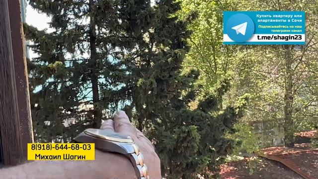 До моря 40 метров. Квартира в Адлере на Первой Береговой линии на море. Вариант для сдачи в аренду смотреть онлайн