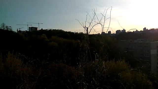 Французский колокольчик Коши смотреть онлайн