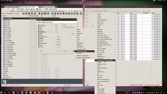 Кракозябы в mp3 файлах с неизвестной кодировкой, быстрофикс смотреть онлайн