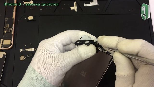 Замена экрана iPhone 8. Разборка iPhone 8 смотреть онлайн
