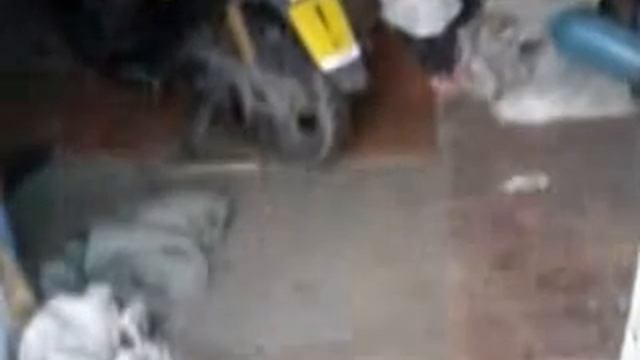 Начинаю устанавливать музыку на мопед Suzuki Sepia смотреть онлайн