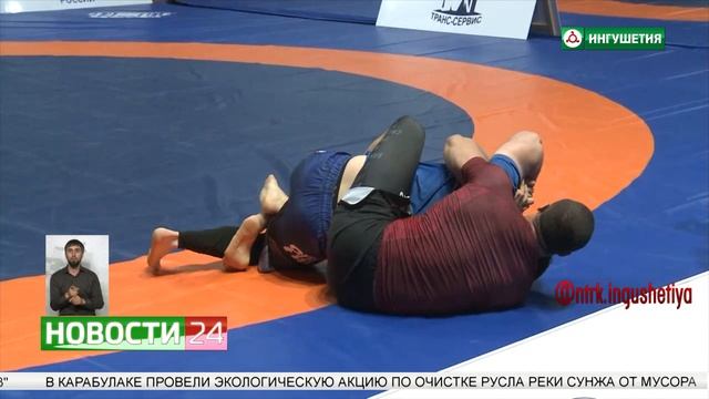 Федерация спортивной борьбы Ингушетии подвела итоги за первое полугодие 2023 года смотреть онлайн