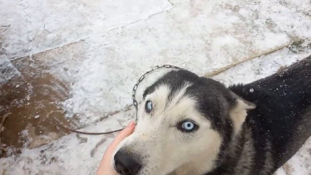 Какая зима на Кубани. Жизнь на море. натухаевская 2022 смотреть онлайн