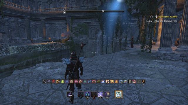 Breton Necromancer Game Play, Episode 718. The Cathedral of Webs смотреть онлайн