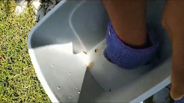 Паста мистик и инволвер, результат смотреть онлайн