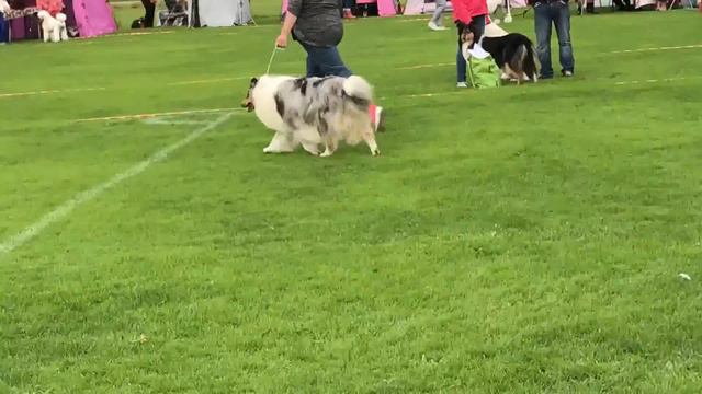 Мое измененное видео 2 смотреть онлайн