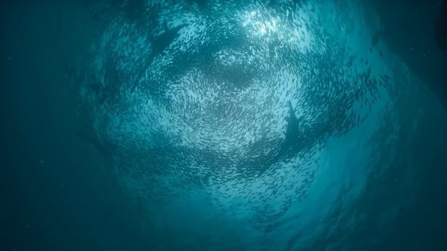 Мозазавр - Эволюция Главного Хищника за всю Историю Земли