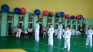 Как сдаются в Тхэквондо на желтый пояс