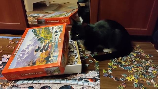 12 Из жизни Маруси Собирать пазлы Легко! смотреть онлайн