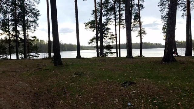 Озëра в Пустыни. Природный заповедник. Кто увидел купается только здесь. Арзамасский район. смотреть онлайн