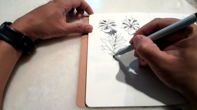 Quick sketch Trees and Foliages смотреть онлайн