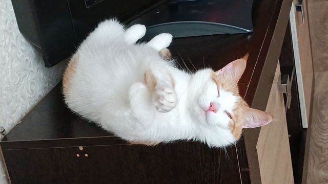 Кузя смотреть онлайн