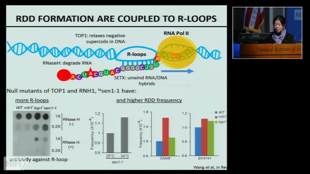 Beyond DNA: Sequence variation in the RNA смотреть онлайн