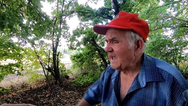 Белфаст-хит сезона, новая порода пчел от дяди Саши! Мой напарник 84 года/ Дикие кабаны на пасеке! смотреть онлайн
