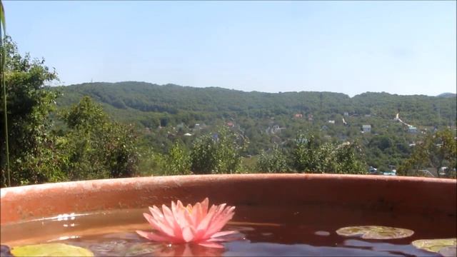 Мантры поющего Лотоса смотреть онлайн