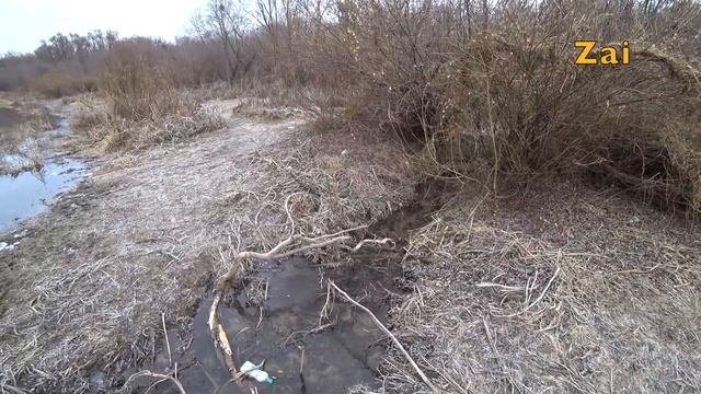ПРОГУЛКА по ДОНУ со спиннингом. ЛОВИМ на КРАКОЗЯБРЫ. смотреть онлайн
