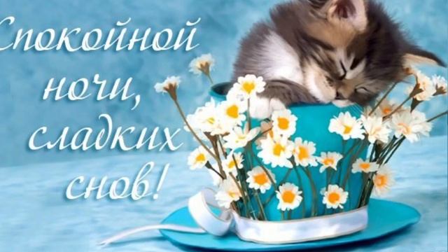 Спокойной ночи ? Приятных снов #спокойнойночипожелание смотреть онлайн