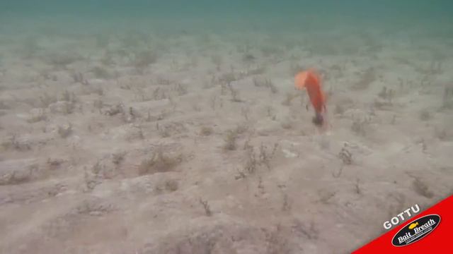 готту слаг 10 бейт бриз обзор щербаковых съедобная резина и силикон смотреть онлайн