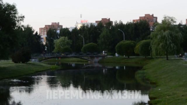 СИЛЬНО ЗАЧЕСАЛОСЬ И ЗАХОТЕЛА ЕЩЕ. Истории из жизни людей Аудио рассказы слушать смотреть онлайн