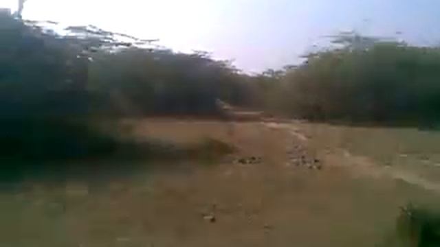 jungle journey 5 смотреть онлайн