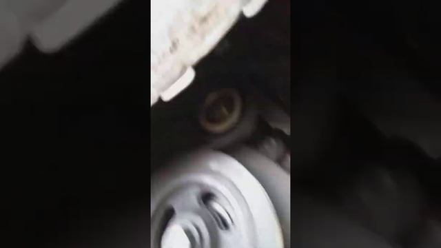 черри тиго фл