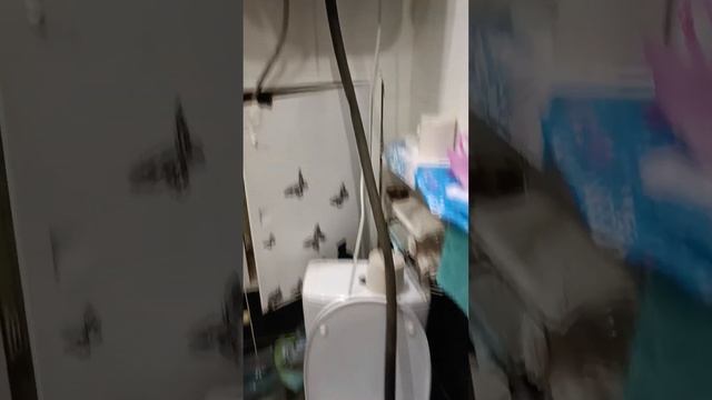 Бойлер "Галатэк" дирется током, меняем тэн и чистим. #ремонтводонагревателя #ремонтбойлера смотреть онлайн