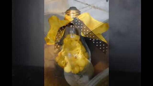 Что такое можно сделать из перегоревшей лампочки? Представьте! смотреть онлайн