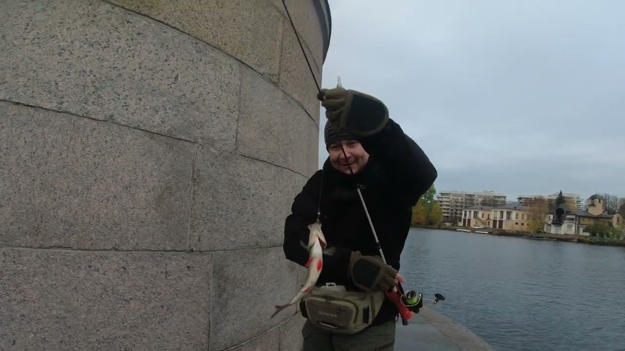 #390 #streetfishing | В поисках окуня |