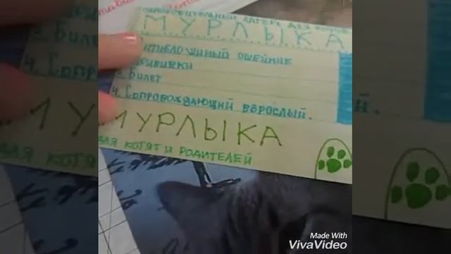 НЕ ПОЕХАЛИ В ЛАГЕРЬ! Тетрадь канала, для сценариев и прочих дел... ПРИВИВИВОЧНЫЙ ПАСПОРТ ДЛЯ КОТА смотреть онлайн