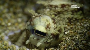 Инопланетная бездна 1 серия История происхождения