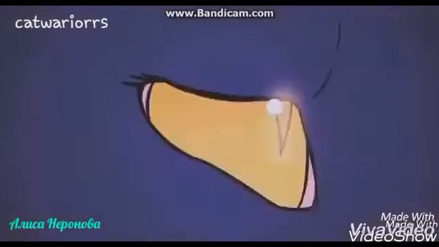 Коты воители Грач,Листвичка и Сумеречница/Cats Warriors Crowfeather,Leafpool and Nightcloub смотреть онлайн