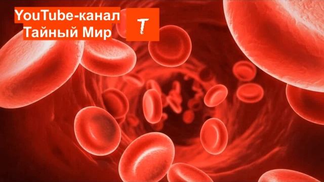 КВАНТОВЫЕ КОДЫ, ПОЛНОЕ ВОССТАНОВЛЕНИЕ СОСУДИСТОЙ СИСТЕМЫ. смотреть онлайн
