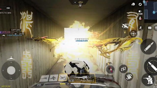 Picked up a DLQ 33 Lotus Flame Sniper Rifle смотреть онлайн