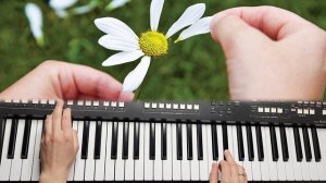 РОМАШКИ СПРЯТАЛИСЬ ПОНИКЛИ ЛЮТИКИ КАВЕР НА СИНТЕЗАТОРЕ