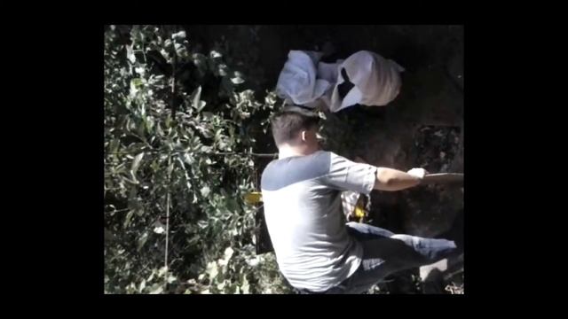 Добываем древесный уголь | Специально для канала AVardugin от Nik Slon смотреть онлайн