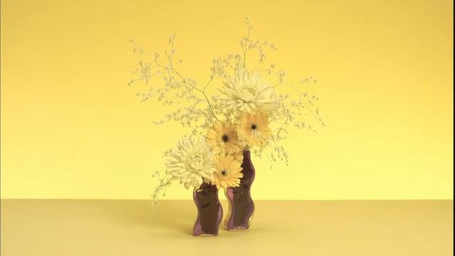 panasonic des fleurs. смотреть онлайн