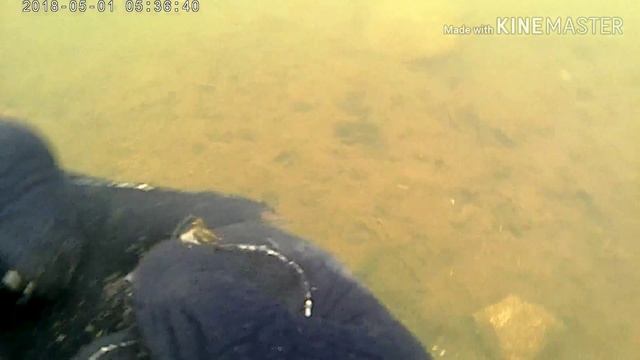 Подводный коп с Nokta Anfibio Multi  и его маленькие хитрости