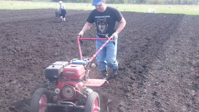 сажаем картошку..mp4 смотреть онлайн